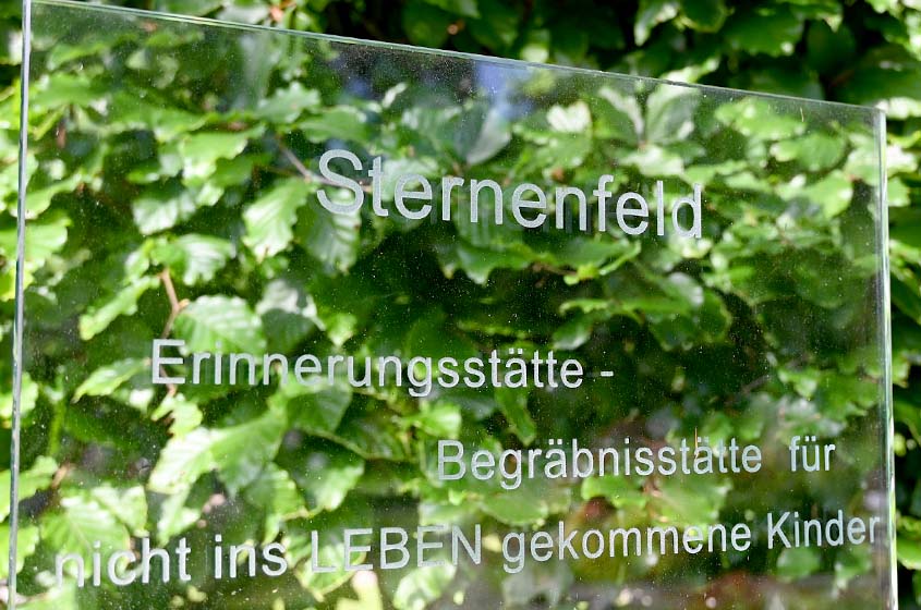 Sternenfeld