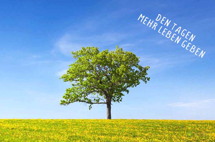 Erster Beitrag Hospizkreis Senden